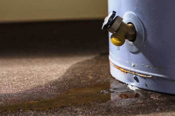 Best Water damage restoration near me  in Shady Hills, FL