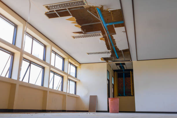 Best 24-hour water damage restoration  in Shady Hills, FL