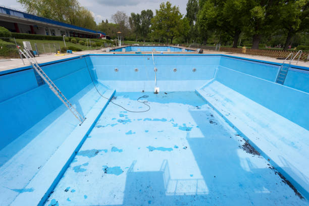 Best Water damage contractors near me  in Shady Hills, FL