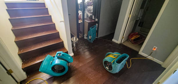 Best Flood damage cleanup  in Shady Hills, FL
