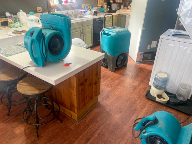 Best Commercial water damage restoration  in Shady Hills, FL