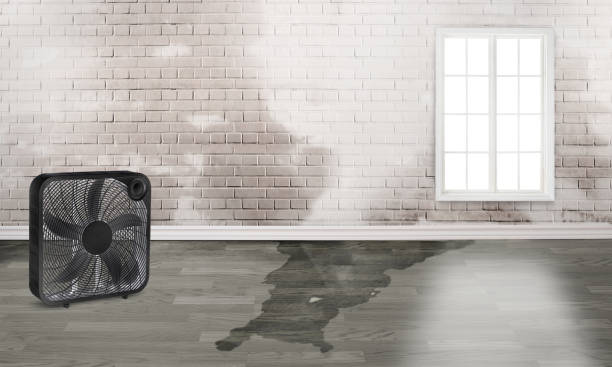 Best 24/7 water damage repair  in Shady Hills, FL