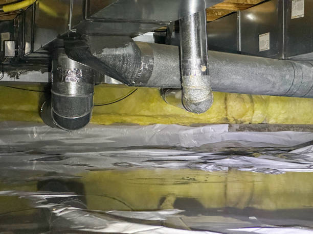 Best Flood damage cleanup  in Shady Hills, FL