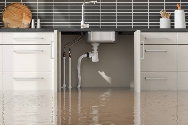 Best Residential water damage restoration  in Shady Hills, FL