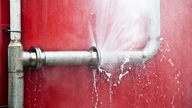 Best Flooded house restoration  in Shady Hills, FL